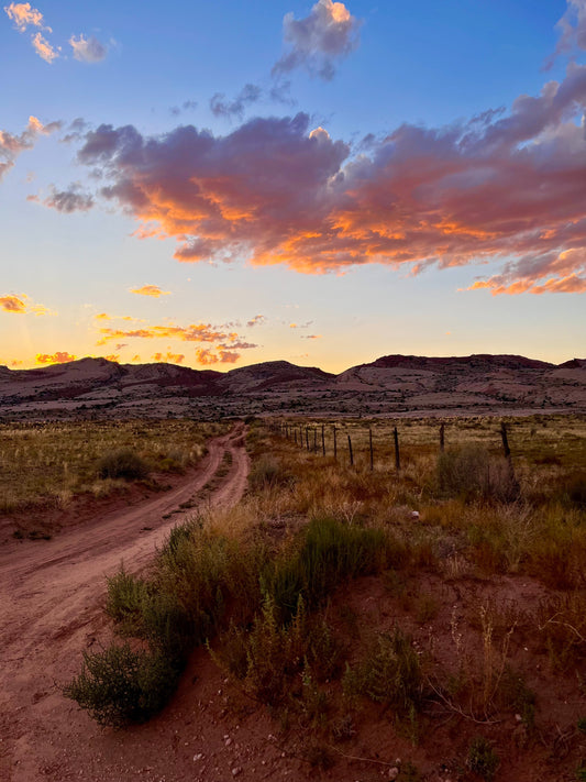 a beautiful red dirt road going off into the distance with pink and purple clouds overhead taken a bit after sunset, with blue sky and hills in the background